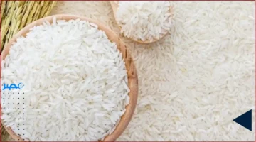 سعر الأرز.. تحديث جديد على تكلفة كيلو الأرز في الأسواق ليوم الثلاثاء 7-10-2025